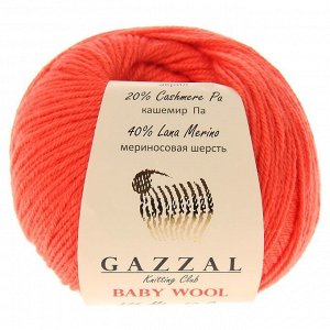 Пряжа "Baby Wool" 20% кашемир, 40% меринос. шерсть, 40% акрил 175м/50гр (819 оранжевый)