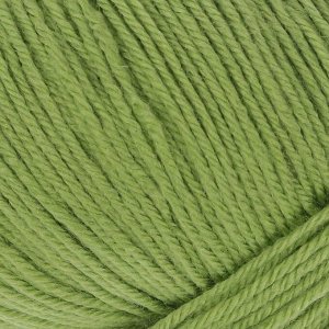 Пряжа "Baby Wool" 20% кашемир, 40% меринос. шерсть, 40% акрил 175м/50гр (838 св.зелёный)
