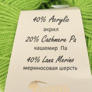 Пряжа "Baby Wool" 20% кашемир, 40% меринос. шерсть, 40% акрил 175м/50гр (821 яр. зелёный)