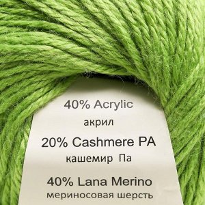 Пряжа "Baby Wool *L" 20% кашемир, 40% меринос. шерсть, 40% акрил 100м/50гр (838 *L)