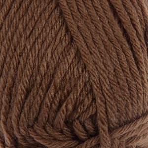 Пряжа "Sport wool" 25% шерсть, 75% акрил 120м/100г (10126 песочный)