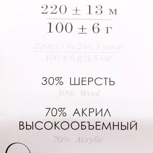 Пряжа "Народная" 30% шерсть, 70% акрил объёмный 220м/100гр (118-Подсолнух)