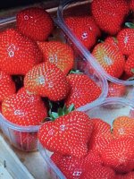 Сенсация