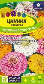 Цветы Цинния Пеперминт Стик/Сем Алт/цп 0,3 гр.