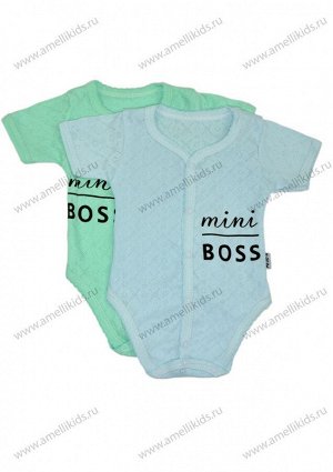 Mini Boss Боди Р56-80 КЛ.290.010.0.214.044 перфорация