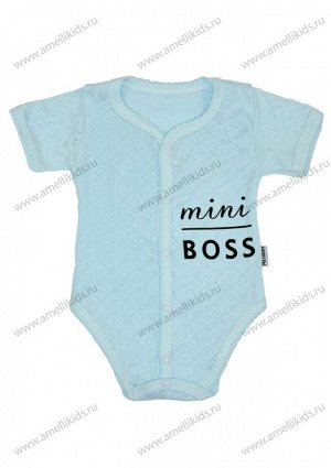 Mini Boss Боди Р56-80 КЛ.290.010.0.214.044 перфорация