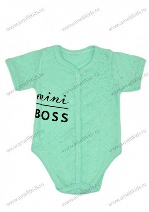 Mini Boss Боди Р56-80 КЛ.290.010.0.214.044 перфорация