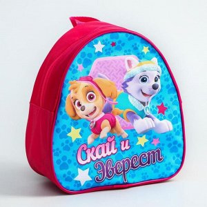 Paw Patrol Щенячий патруль. Рюкзак детский «Скай и Эверест»?, 21 x 25 см