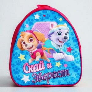 Paw Patrol Щенячий патруль. Рюкзак детский «Скай и Эверест»?, 21 x 25 см