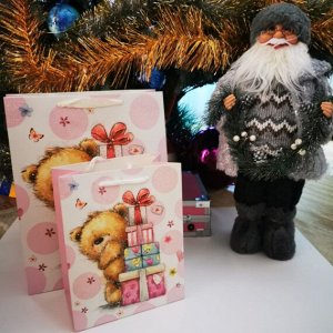 Baizheng Household Уссурийск Пакет подарочный большой