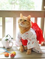 🐱 Премиум товары для кошек и собак из Японии