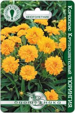 Кореопсис крупноцветковый Тюрингия