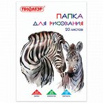 Папка для рисования, А4, 20 л., 120 г/м2, ПИФАГОР, 210х297 мм, &quot;Зебры&quot;, 129221