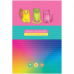 Записная книжка А5 80л. BG ""Яркие коты"", матовая ламинация, выб. лак, блок в точку