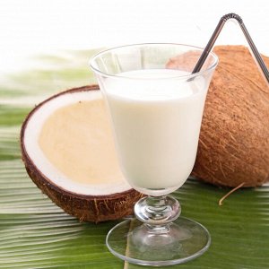 Продукты 22 века Сухое кокосовое молоко