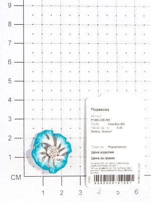 Подвеска из серебра с эмалью P1205-CZE-RR
