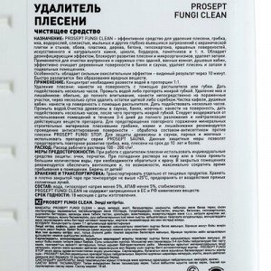 Удалитель плесени Prosept Fungi Clean. Концентрат, 1л