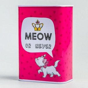 Копилка "Meow or never", Коты аристократы