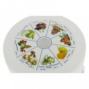 Сушилка для овощей и фруктов "Чудесница" СШ-008, 520 Вт, 5 ярусов, белая