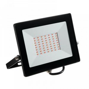 Прожектор светодиодный Smartbuy FL SMD LIGHT, ФИТО, 50 Вт, IP65