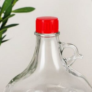 Бутылка стеклянная «Лоза», 5 л