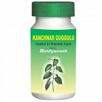 Kanchnar Guggulu Baidyanath &quot;Канчнар Гугул&quot; от варикоза и геморроя, 80 таб