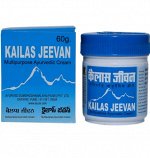 Kailas Jeevan Ayurved Sumshodhanalaya &quot;Кайлаш Дживан&quot; воспалений и порезов 30г