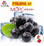 Рябина черноплодная 1кг МОРСианин