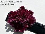 ЛЕ - Взбитые сливки (темный спорт)