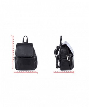 Рюкзак Valle Mitto 86605 black #62263