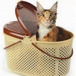 Пластик — лотки, переноски, лежанки, игрушки и т. д