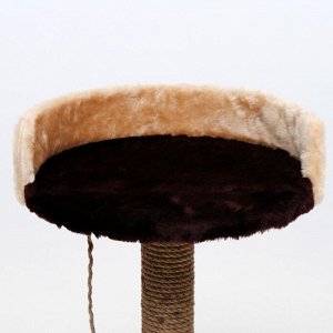 Когтеточка "Столбик" с лежанкой, 40 х 40 х 55 см, тёмно-коричневая