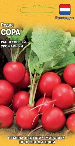Редис Сора 0,5 г (Голландия ) Н18