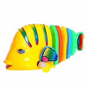 Игрушка заводная «Рыбка», цвета МИКС