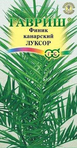 Финик канарский Луксор 2 шт.