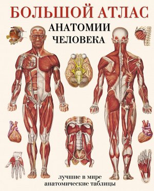 Махиянова Е.Б. Большой атлас анатомии человека