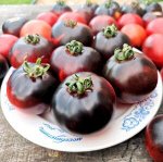 Помидоры Черная Бабочка — Black Butterfly Tomato