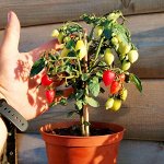 Комната Лилипутов