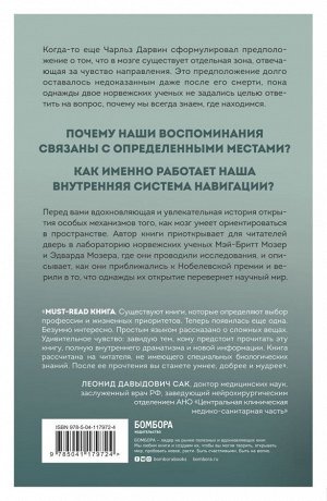 Унни Эйкесет Окей, мозг, где я? Как работает наша внутренняя система навигации, зачем нужны воспоминания и почему иногда они стираются