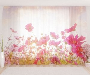 Фототюль Восход над цветочным полем