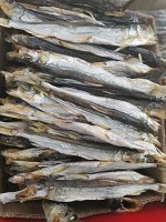 Корюшка сушеная Камчатка с открытым ртом