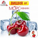 Вишня без косточки 1кг МОРСианин