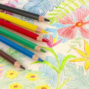 Карандаши цветные ПИФАГОР "ЗЕБРА", 6 цветов, утолщенные, пластиковые, 181697