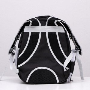 Рюкзак для переноски животных прозрачный, 31 х 28 х 42 см, чёрный