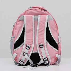 Рюкзак для переноски животных прозрачный, 31 х 28 х 42 см, розовый