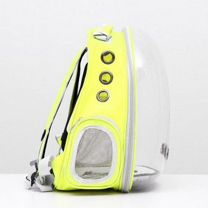 Рюкзак для переноски животных, прозрачный, 31 х 28 х 42 см, жёлтый