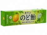 Леденцы со вкусом айвы и трав 10 шт, Lotte, 59,4 г., 1/10/120