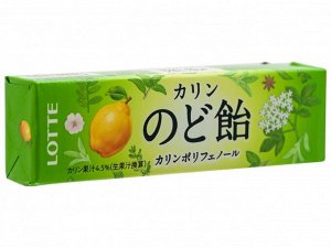 Леденцы со вкусом айвы и трав 10 шт, Lotte, 59,4 г., 1/10/120