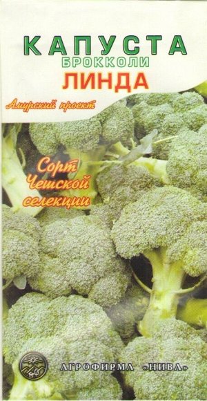 Капуста линда описание сорта фото отзывы