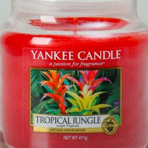 Свеча ароматическая в банке Тропические джунгли Tropical Jungle, 411 гр, 65-90 ч